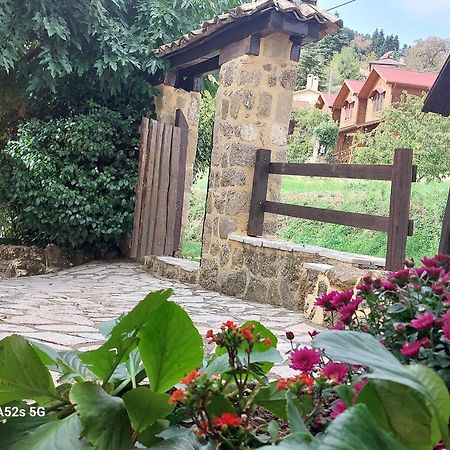 Εν Αρχή - En Arhi Villa อาโน ตริคาลา ภายนอก รูปภาพ