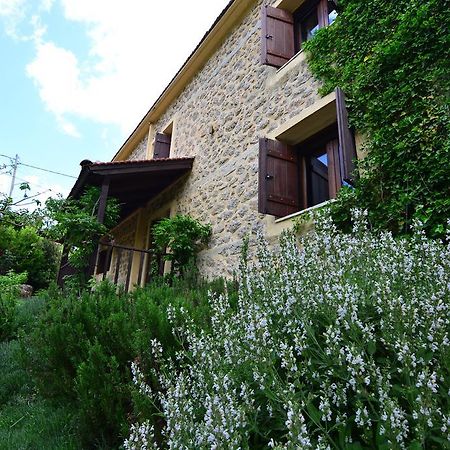 Εν Αρχή - En Arhi Villa อาโน ตริคาลา ภายนอก รูปภาพ