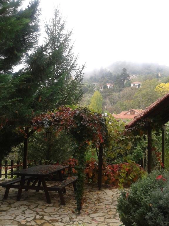 Εν Αρχή - En Arhi Villa อาโน ตริคาลา ภายนอก รูปภาพ
