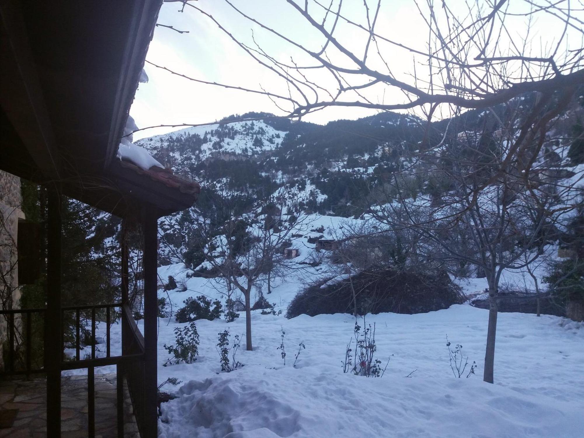 Εν Αρχή - En Arhi Villa อาโน ตริคาลา ภายนอก รูปภาพ
