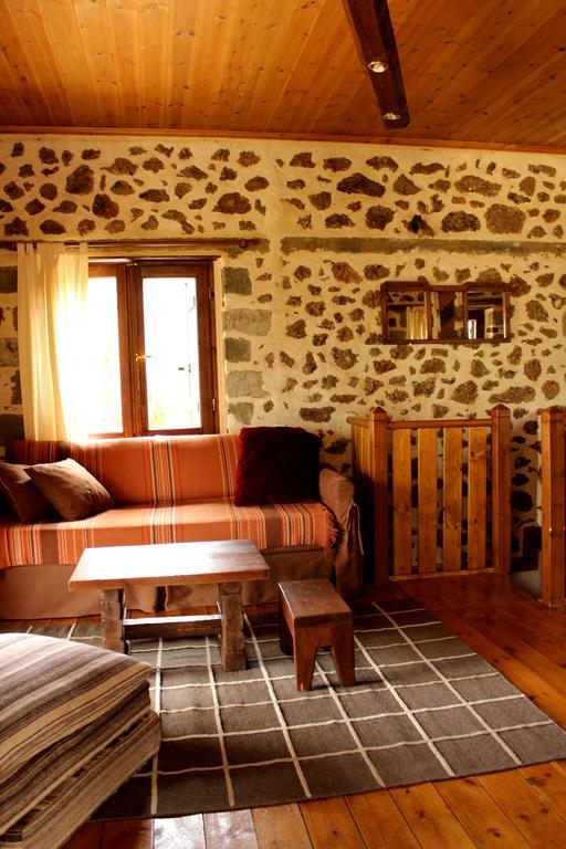Εν Αρχή - En Arhi Villa อาโน ตริคาลา ห้อง รูปภาพ