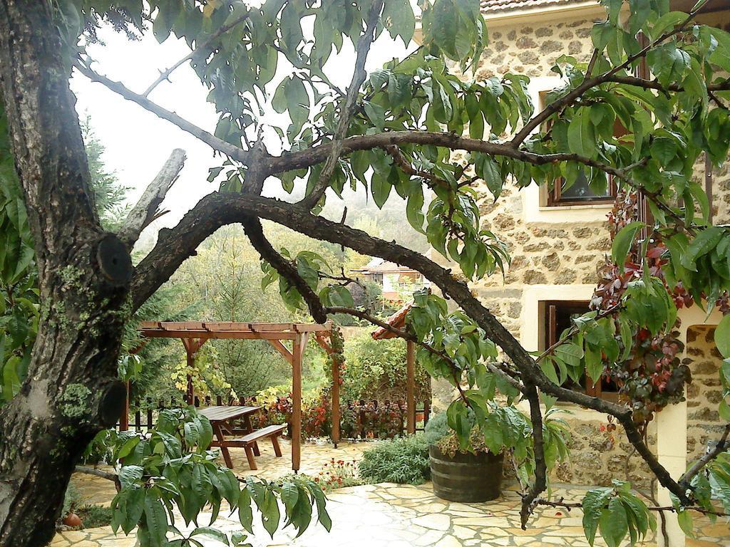 Εν Αρχή - En Arhi Villa อาโน ตริคาลา ห้อง รูปภาพ
