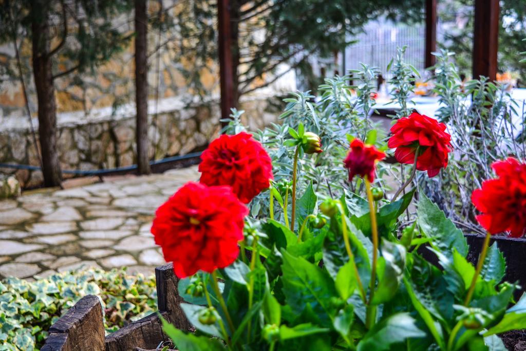 Εν Αρχή - En Arhi Villa อาโน ตริคาลา ภายนอก รูปภาพ